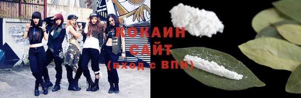 хмурый Каменногорск