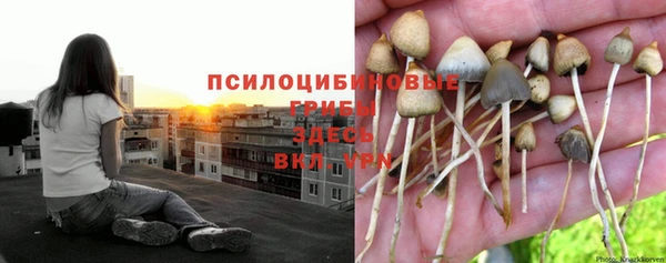 мефедрон Каменск-Шахтинский
