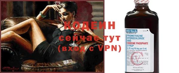 хмурый Каменногорск