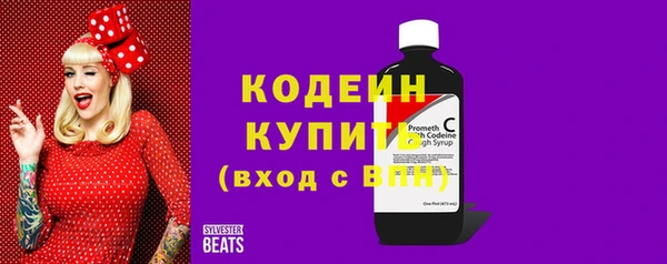 хмурый Каменногорск
