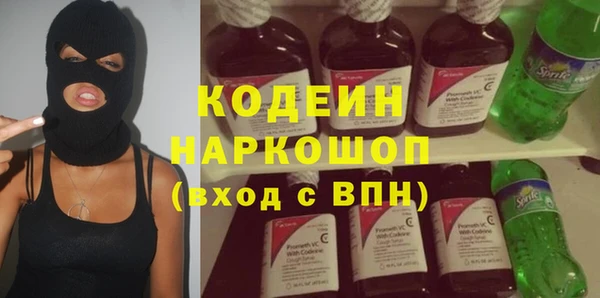 хмурый Каменногорск