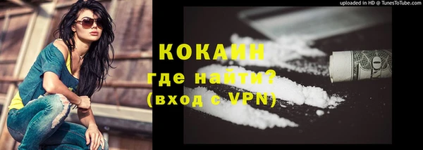 хмурый Каменногорск