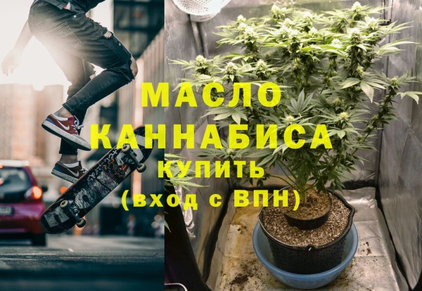 гидра Карпинск