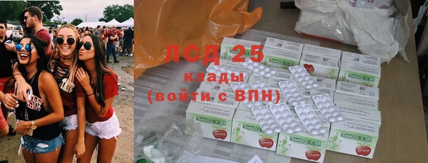 гидра Карпинск