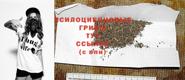 хмурый Каменногорск