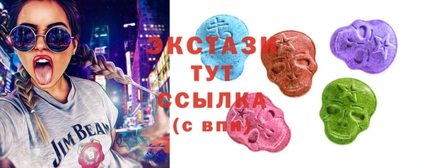 гидра Карпинск
