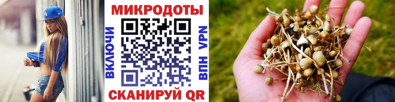 Купить закладки  Котельнич  Галлюциногенные грибы MAGIC MUSHROOMS 